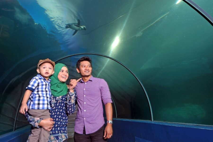 Underwater World Langkawi Admission Ticket - A practical stop on Jalan Pantai Chenang