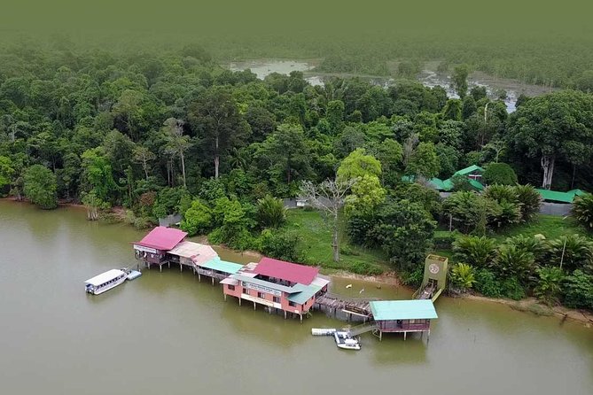 Wildlife & Wonders: Orang Utan Island + Perak Cave Temple Tour - Reaching Orang Utan Island by ferry